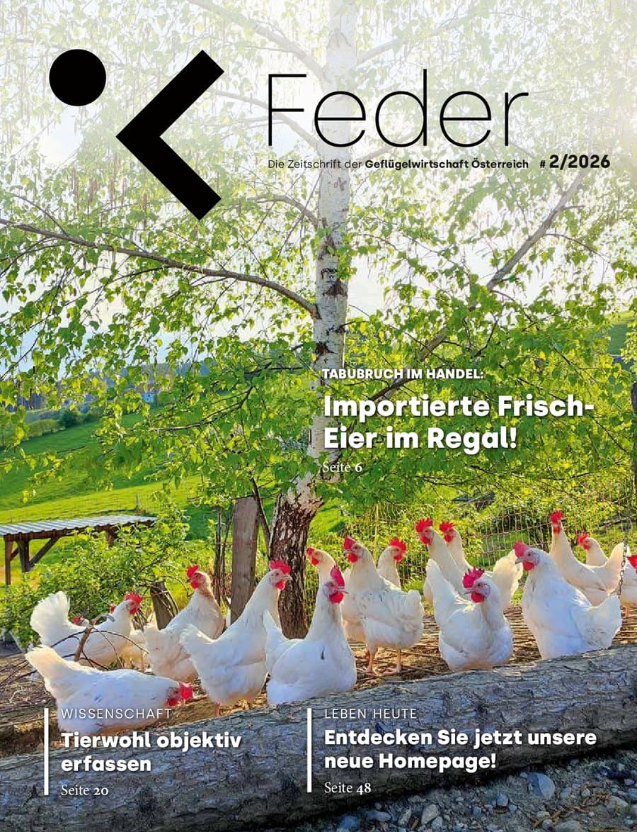 FEDER #2/2026 – Cover
