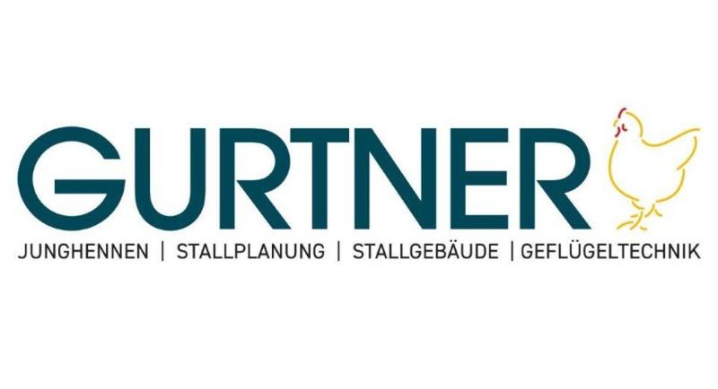 Gurtner GmbH – Junghennen