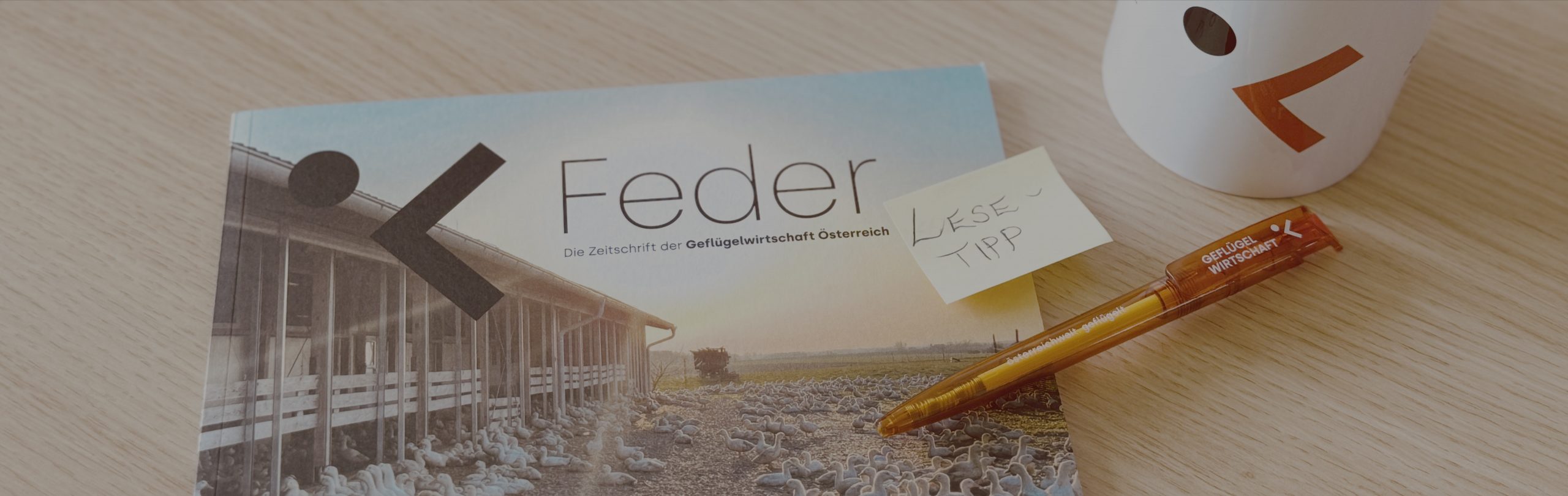 Feder